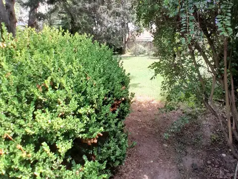 Terreno en Venta de 300,0 m2