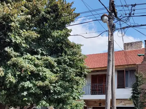Zapiola 100