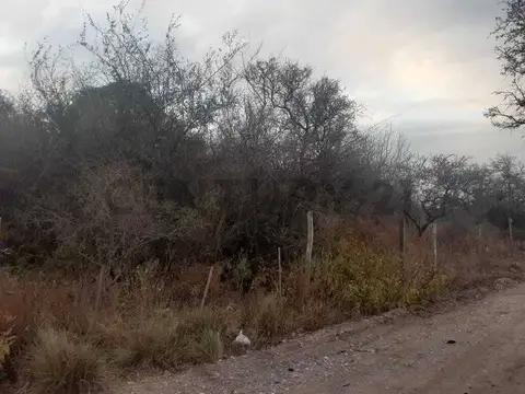 LOTEUBICADO EN EL PUEBLITO SALSIPUEDES ESCUCHA OFERTA RECIBE OFICINA