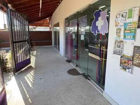 Colectora Barrio Parque Exaltacion 100