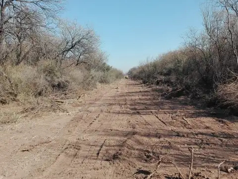 Campo en Venta de 3.300  ha