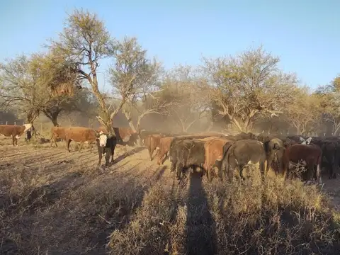 Campo en venta en San Luis