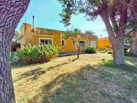 Campo en Venta Agrícola