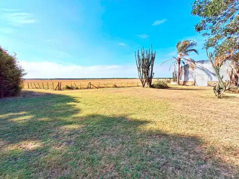 CAMPO EN ROJAS, 56 HA