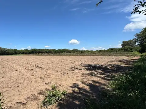 colonia caroya  calle.136