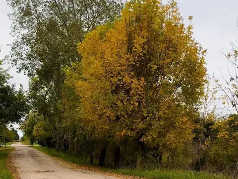 Lote en Venta con Escritura en Nacho Correas