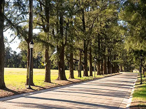AZAHARES DEL PARANÁ, BARRIO SENTIDOS.