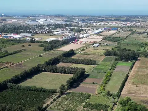 Av Luis Batlle Berres 7000
