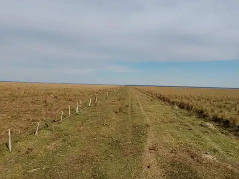 VENTA DE CAMPO EN CORRIENTES