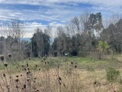 Terreno en Venta 50  mts Fondo
