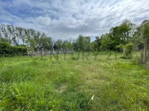 305 entre 46 y 48 , Piso 0