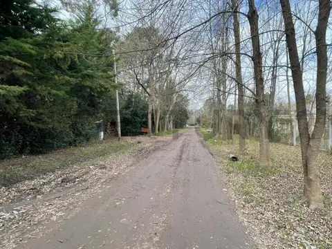 305 entre 46 y 48 , Piso 0