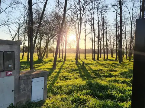 Av. Fernández Beschtedt  al 2500