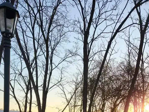 Av. Fernández Beschtedt  al 2500