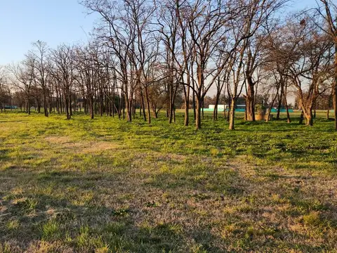 Terreno en Venta Barrio Santa Ines