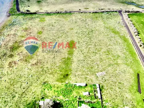 VENTA CHACRA 22 HECTAREAS GENERAL MADARIAGA