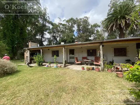 5 has en Veronica - Chacra en Venta con Importante Arboleda