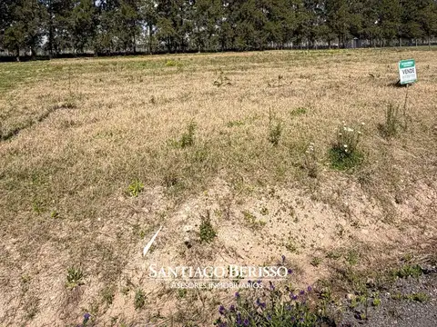 Terreno en Venta 50  mts Fondo