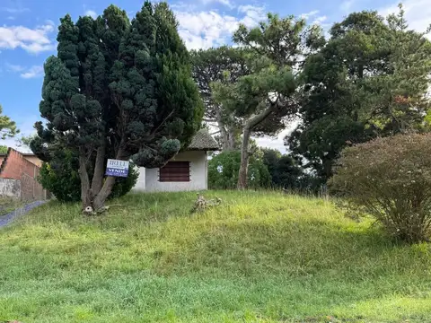 Avenida 6 entre  Paseo 131 y 132.