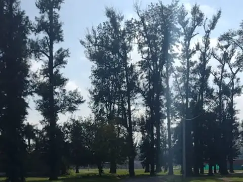 Terreno en Venta de 46500,0 m2