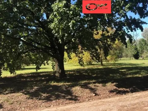 Lote Barrio el Cardal 100