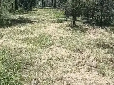 Lote en San ignacio