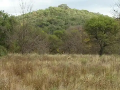 EXCELENTE FRACCIÓN SOBRE RUTA CON ESCRITURA
