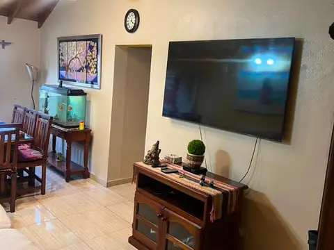 El Saúco 100
