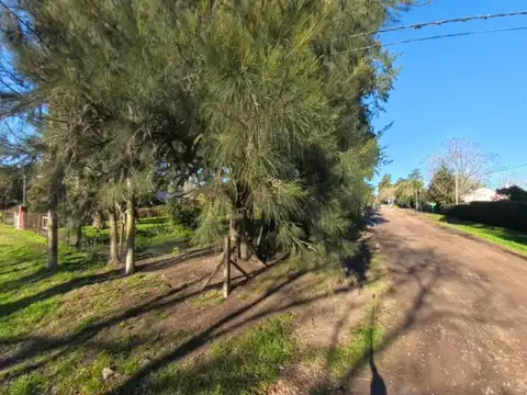 Terreno en Venta de 565,0 m2