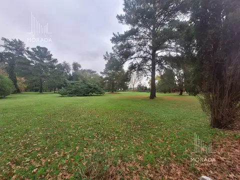 Terreno en Venta 24  mts Fondo