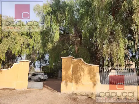 Bodega y Finca en excelentes condiciones en Rivadavia, Mendoza