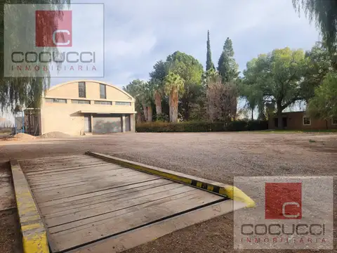 Bodega y Finca en excelentes condiciones en Rivadavia, Mendoza