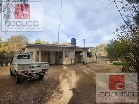 Bodega y Finca en excelentes condiciones en Rivadavia, Mendoza