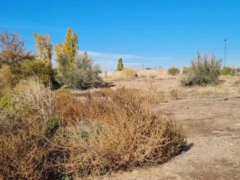 Ruta 60  Russell, Maipu, Mendoza