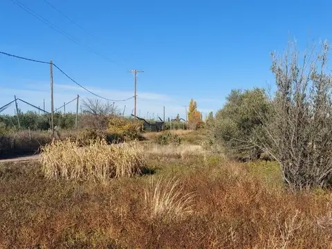 Terreno en Venta de 10000,0 m2