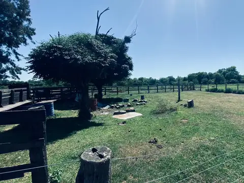 Campo en Venta Mixto