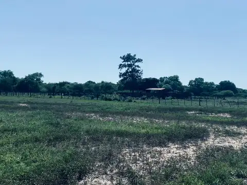 Campo en Venta Mixto
