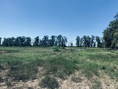 Campo en Venta con Alambrado