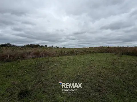 VENTA CAMPO SOBRE RUTA 11