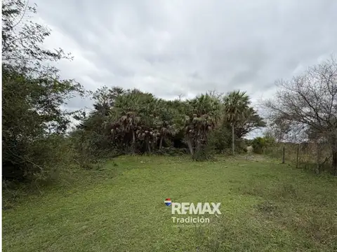 VENTA CAMPO SOBRE RUTA 11