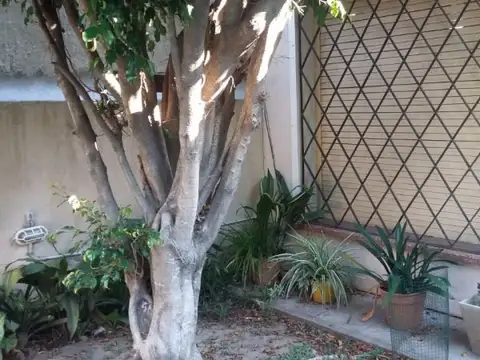 Casa en Alquiler con 1 cochera