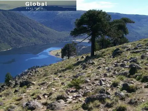 Campo en Venta de 1.400  ha