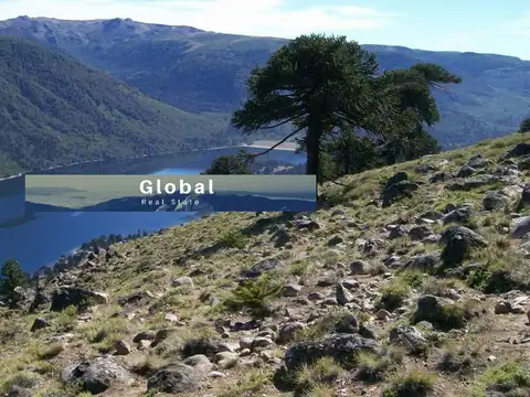 Campo en Venta Forestal