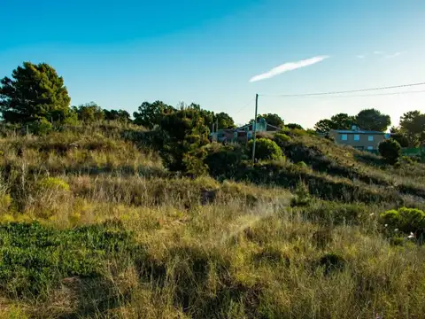 Terreno en Venta 37  mts Fondo