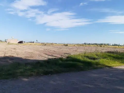 ADOLFO CALLE y ESPINELLI