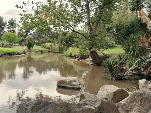 Terreno en Venta 15  mts Frente