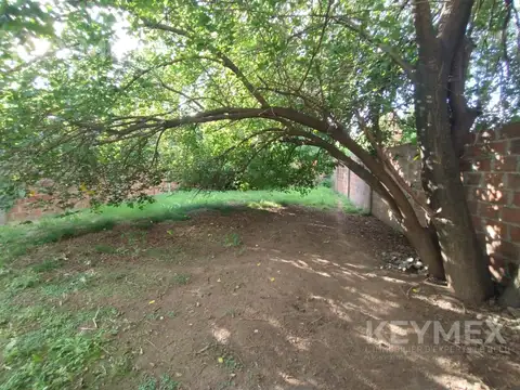 Juan Manuel de rosas 30300