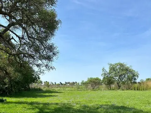 Terreno en Venta de 320,0 m2