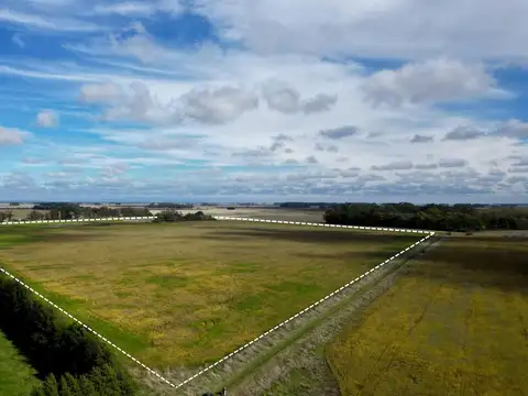 VENTA |CAMPO AGRICOLA |40 HECTAREAS