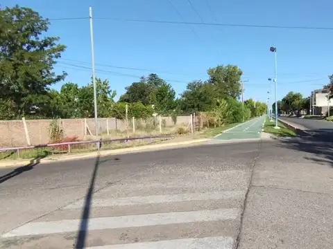 Cartagena 1300